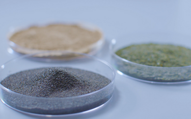 Petri dishes featuring seaweed processed by OCEANIUM