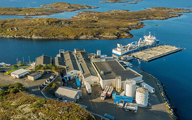 Mowi's processing facility in Ulvøya, Norway.