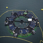 An aerial view of Bluegreen's Marine Donut aquaculture concept in the water.