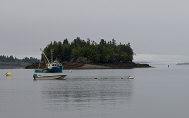 Passamaquoddy Bay in the U.S. state of Maine.