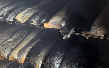 Salmon skins used by Jack's Premium for their dog treat products