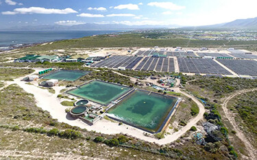An Aqunion aquaculture setup in South Africa