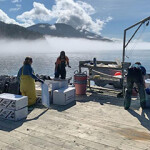 Scientific monitors at an oyster farm on the water.