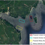 The proposed sites for new aquaculture leases in Liverpool Bay, Nova Scotia.