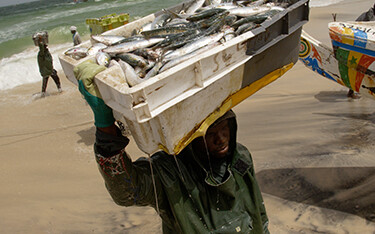 A fisherman in Mauritania.