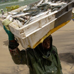 A fisherman in Mauritania.