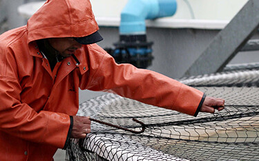 A worker in Chile stretches a net over a recirculating aquaculture system tank.