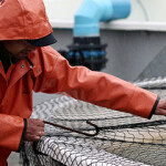 A worker in Chile stretches a net over a recirculating aquaculture system tank.
