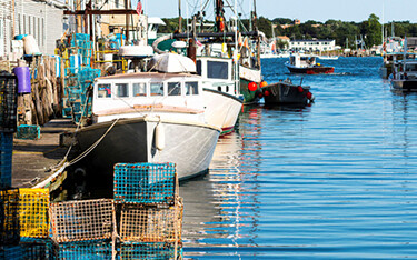 A picture of the Maine waterfront