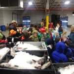 The Portland Fish Exchange