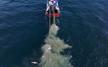 A scampi trawler in the U.K.