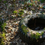 A photo of a discarded tire.