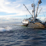 A tuna purse seine vessel fishing in the ocean.