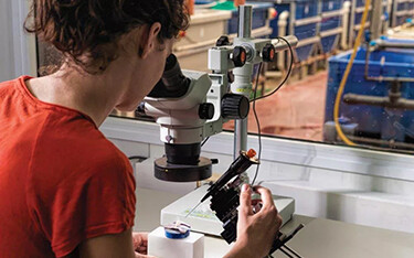 A Colors Farm biologist looking through a microscope.