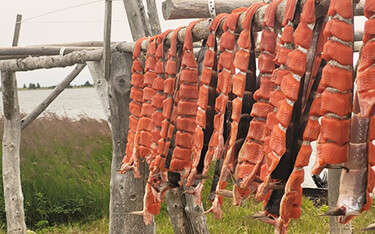 Sockeye salmon fills the drying racks in the village of Newhalen on Lake Iliamna, Alaska.