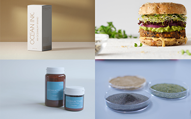 OCEANIUM products