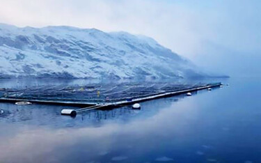 A Nova Austral salmon farm in Chile.