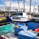 Fishing boats at the dock in Newfoundland.