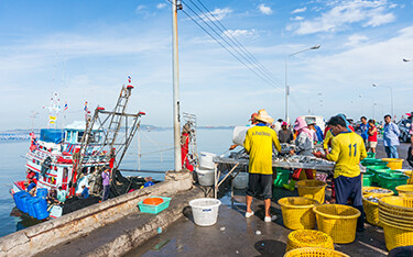 A fishing port in Thailand.