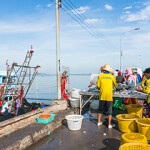 A fishing port in Thailand.