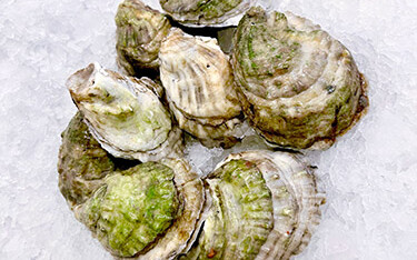 Mar Seafood's Blue Point Oysters.