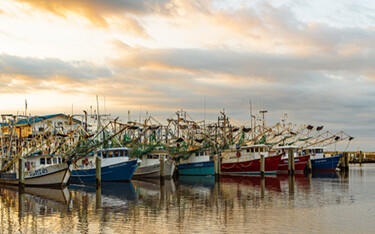 A photo of shrimping vessels.