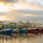 A photo of shrimping vessels.