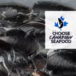 The Choose Canadian Seafood logo on a package of mussels.