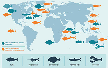 An interactive map by harveststrategies.org showing which fisheries have adopted harvest strategies.