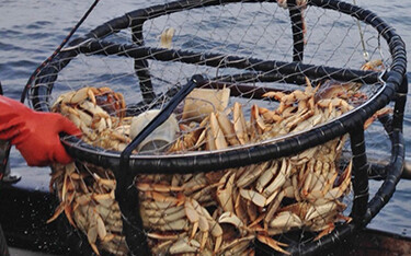 A Dungeness crab pot.