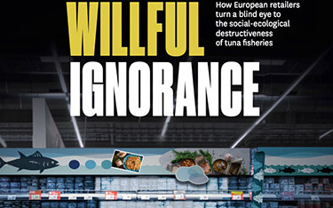 The header of a report by Bloom