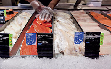 Marine Stewardship Council-certified seafood for sale at Loblaws.