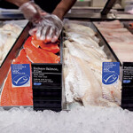 Marine Stewardship Council-certified seafood for sale at Loblaws.