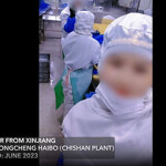 A screenshot from an Outlaw Ocean Project video presented evidence of Uyghur labor being used in Chinese seafood processing facilities.