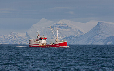 A photo of a commercial fishing vessel in Iceland.