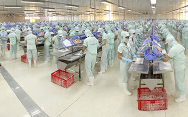 A pangasius processing facility operated by Cuu Long Fish Joint Stock Company.