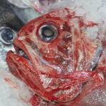 An orange roughy in New Zealand.