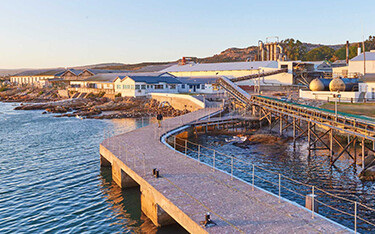 Saldanha Protein Group's facility photographed from the water.