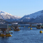 One of Nordic Halibut's aquaculture facility in Norway.