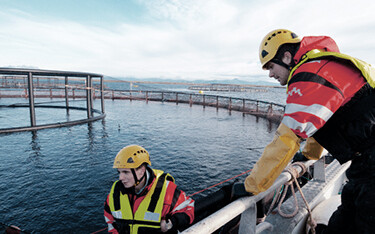 A Nova Sea farm site.