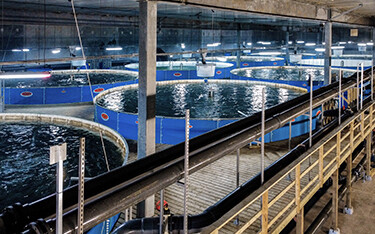 Aquaculture | SeafoodSource