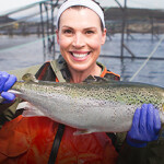 A Cooke employee with a farmed salmon.