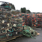Dungeness crab traps in Oregon.