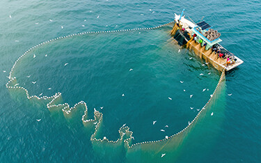 A purse-seiner fishing.