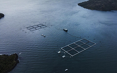 A Multi X salmon farm in Chile