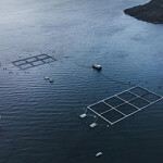 A Multi X salmon farm in Chile