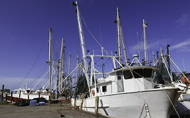 A photo of shrimp vessels.