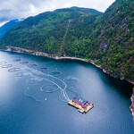 A salmon farm located in a fjord in Norway
