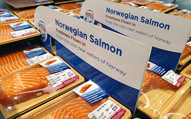 Norwegian salmon in a case