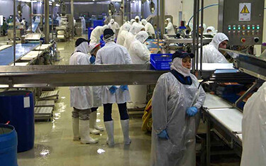 The processing line at a Nova Austral facility.